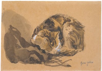 Study of a Cat by Gwen John